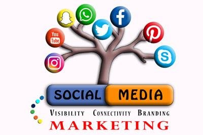 Social Media Designer